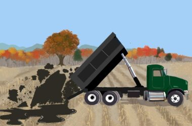 An illustration showing a green dump truck dumping black sludge in an empty field during the fall season. One of the clumps of sludge is in the shape of the state of Maine