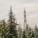 Electric transmission lines seen during the winter months surrounded by snow-covered trees.