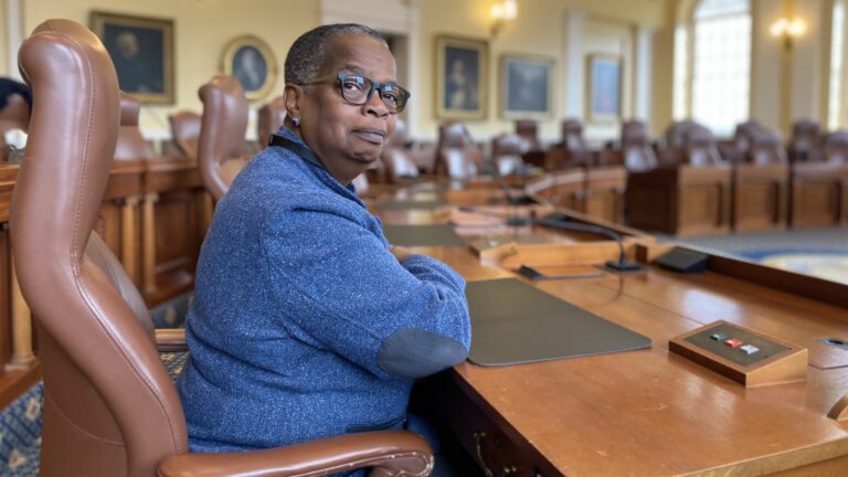 Jill Duson sitting in the state senate chambers