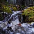 A stream of water rushing over and down rocks in a forest