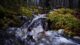 A stream of water rushing over and down rocks in a forest