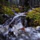 A stream of water rushing over and down rocks in a forest
