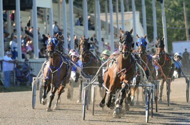 Horses gallop along a track during a harness race.