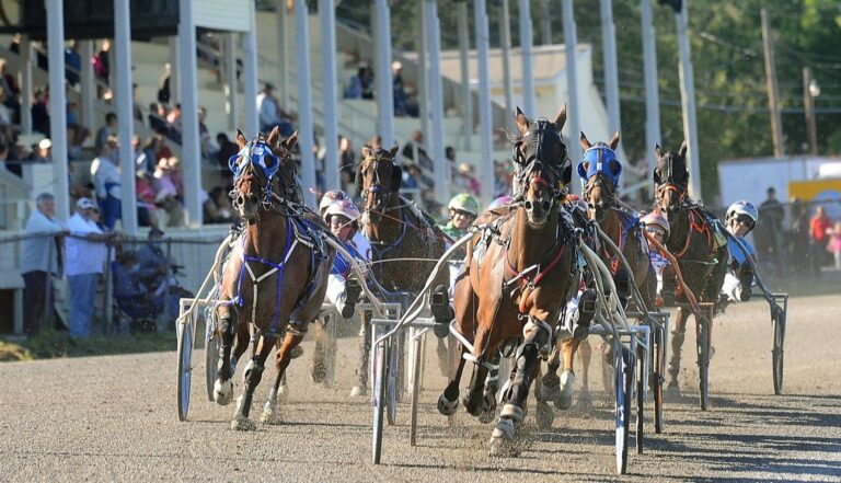 Horses gallop along a track during a harness race.