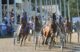 Horses gallop along a track during a harness race.