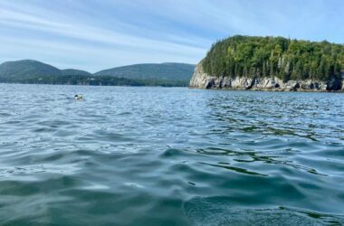 Frenchman Bay as seen on the water.