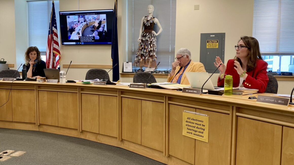 Three members of the Environment and Natural Resources Committee sit at a roundtable during a public hearing session.