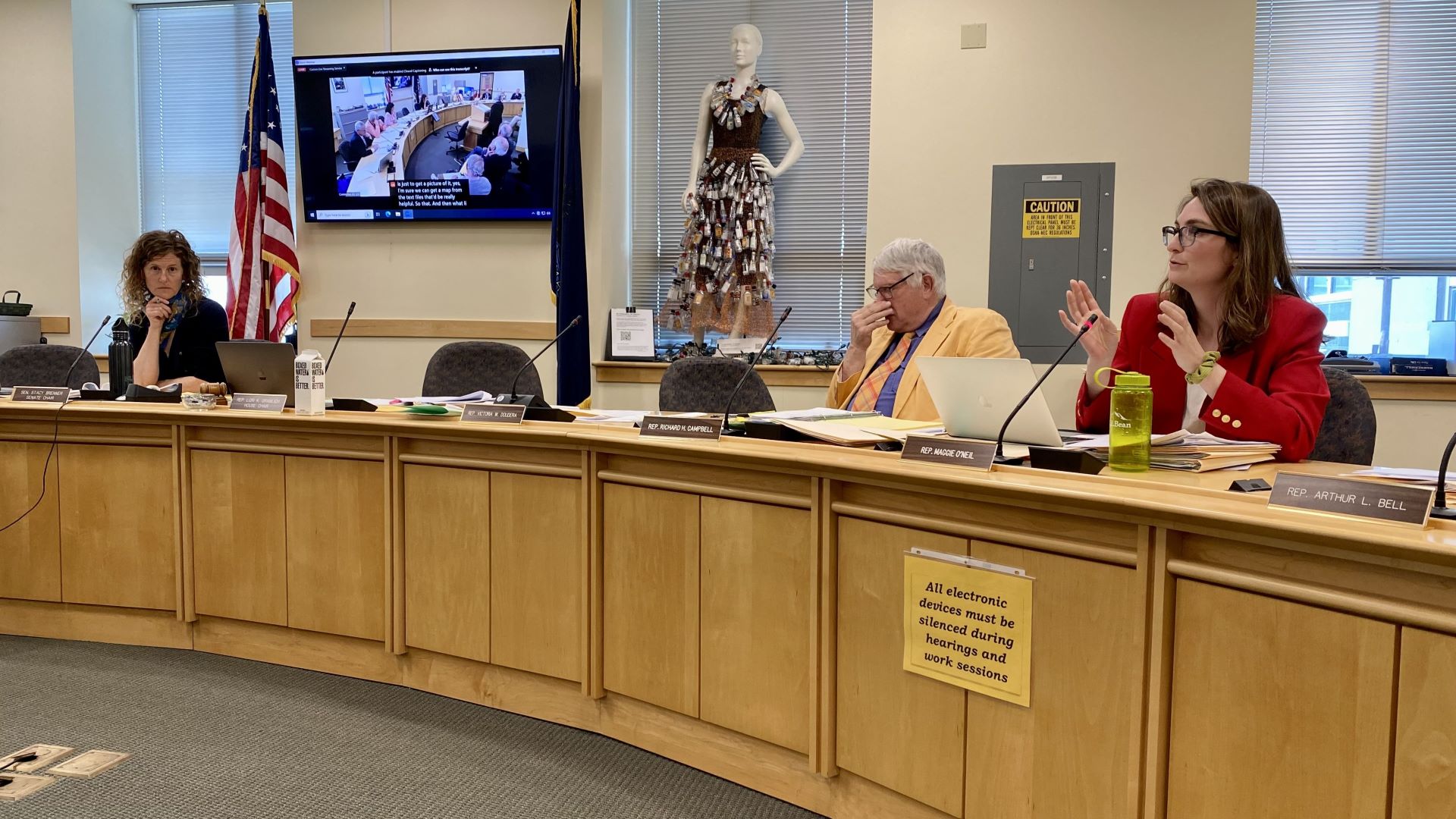 Three members of the Environment and Natural Resources Committee sit at a roundtable during a public hearing session.