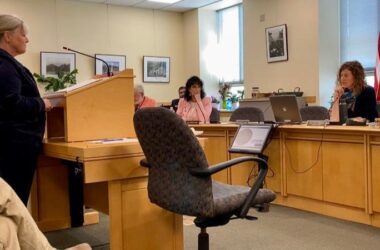 Mary Freeman stands at a podium while testifying to a legislative committee.