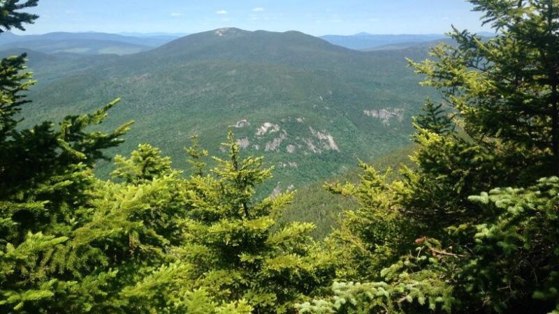Green mountains and trees in western Maine.