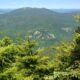 Green mountains and trees in western Maine.