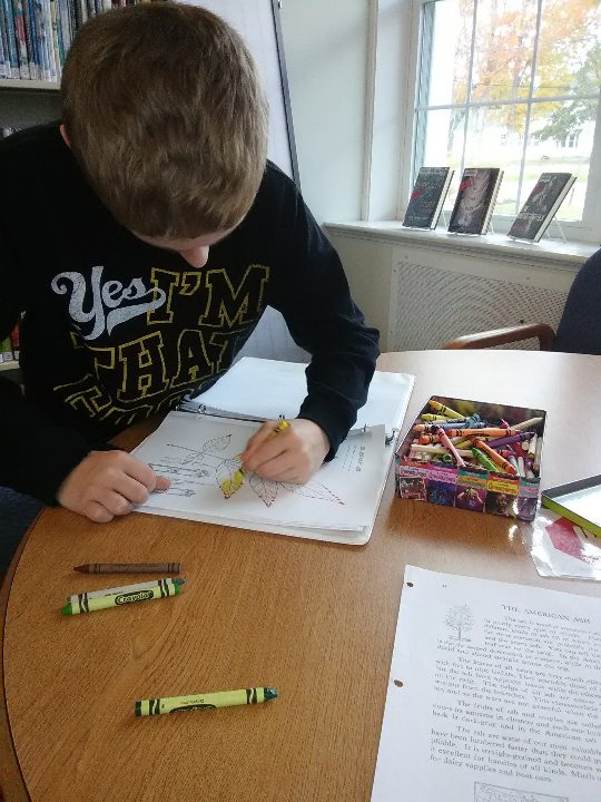 Braden Coakley uses a crayon to color for a homeschool assignment.