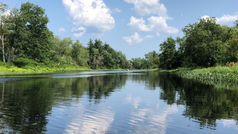 View of the East Machias River.