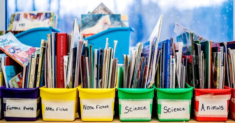 Buckets full of educational books. The buckets are labeled famous people, non-fiction, non-fiction, science, science and animals.