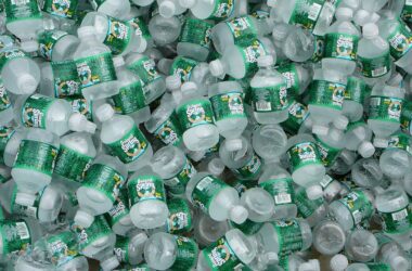 Many small bottles of Poland Spring water.