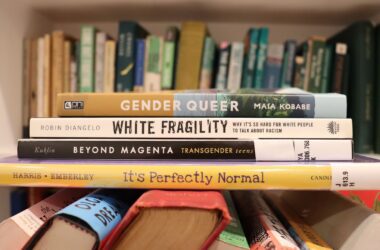 Four of the challenged books: Gender Queer, White Fragility, Beyond Magenta, and It's Perfectly Normal.