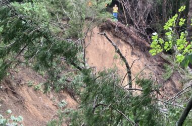 Fallen trees are seen blocking an ATV trail.