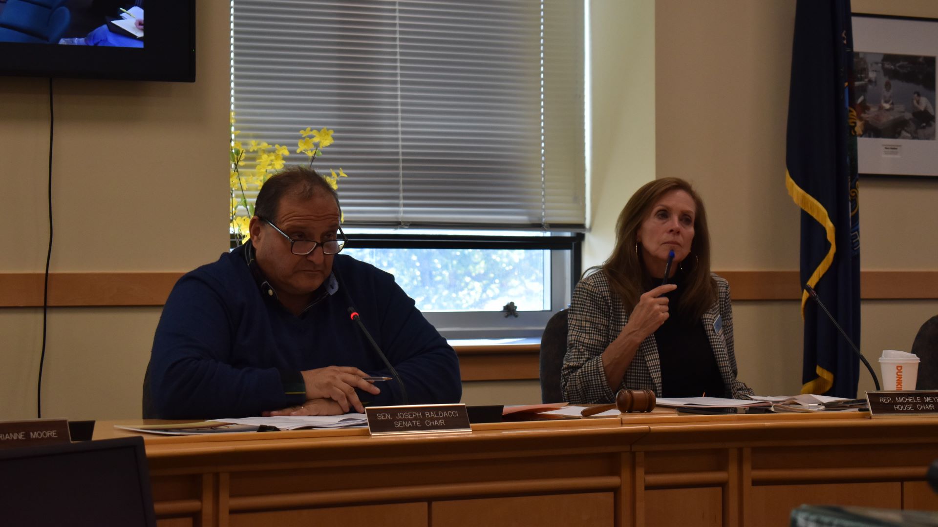 Joe Baldacci and Michele Meyer during a legislative hearing.