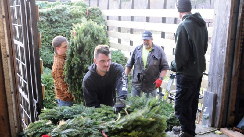 Workers load wreaths into the back of a truck.