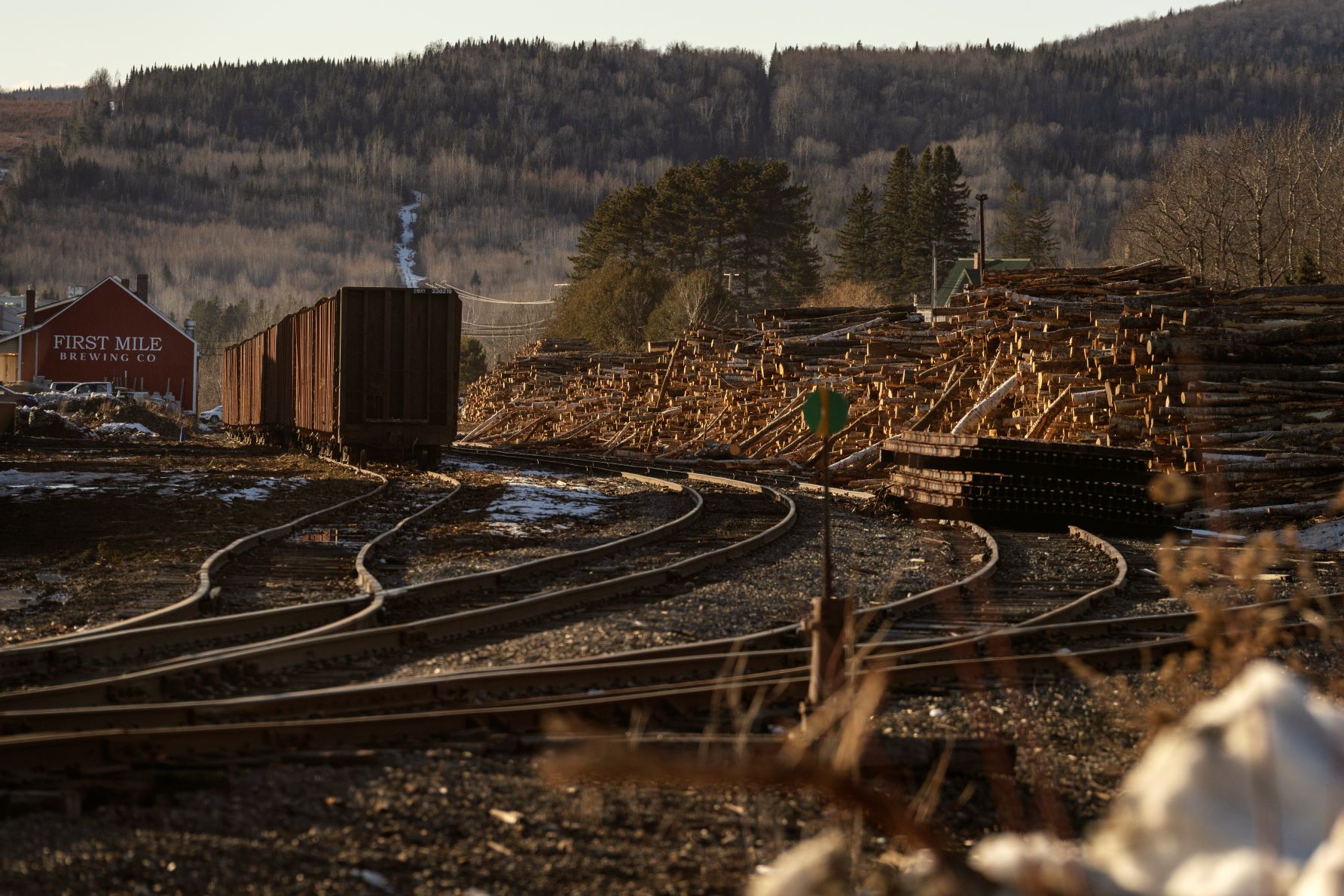 Train cars sit on railroad tracks with timber stacked off to the side.
