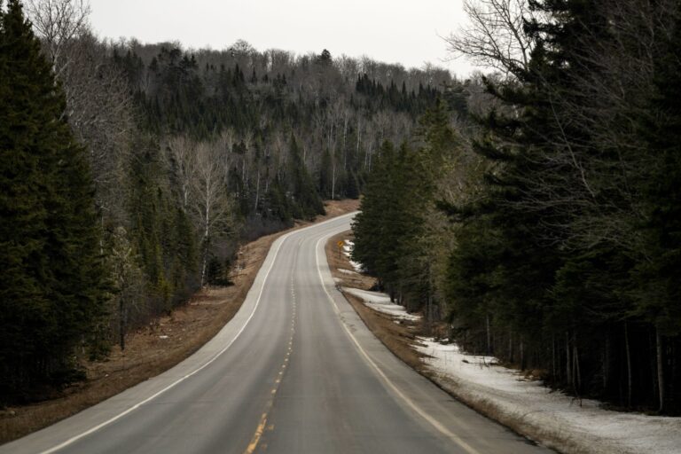 A highway in Aroostook County winds between a forest of trees.