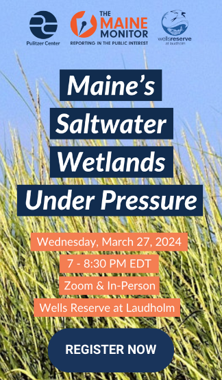 Event promotion graphic for an event called Maine's Saltwater Wetlands under pressure. The event will be held Wednesday, March 27, 2024 from 7 p.m. to 8:30 p.m. via Zoom and in-person at the Wells Reserve at Laudholm. Click the image to register for the event.