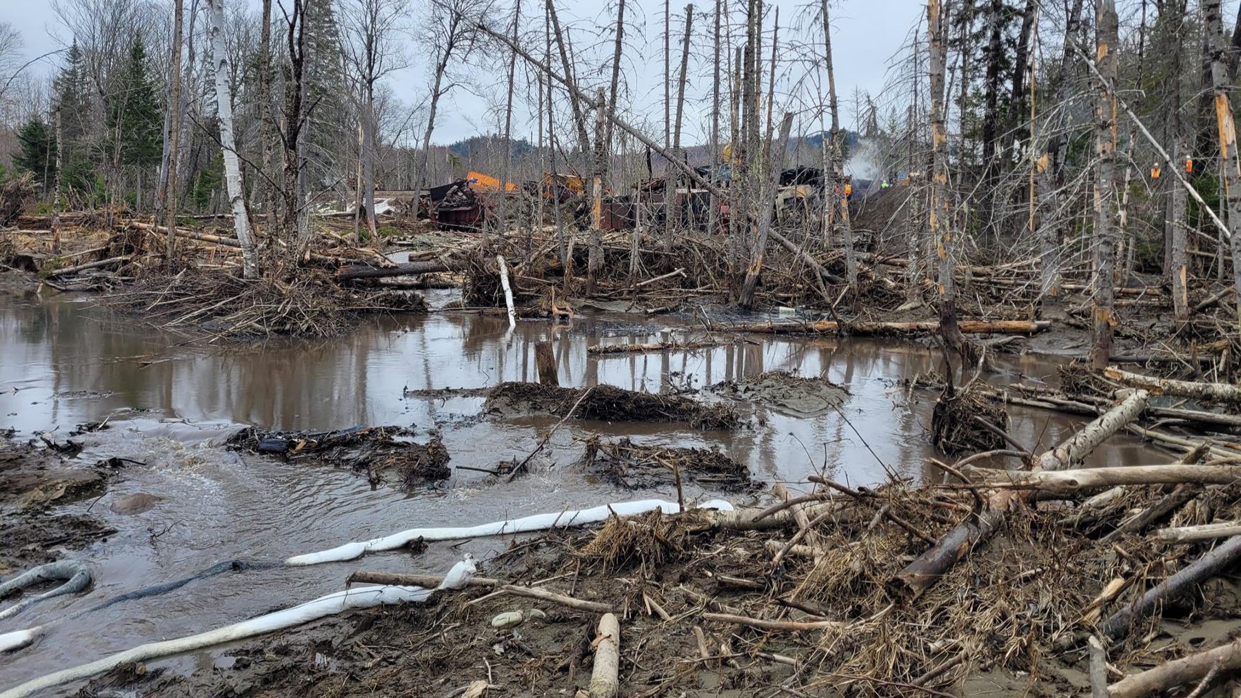Derailed train cars are shown behind bare and damaged trees.