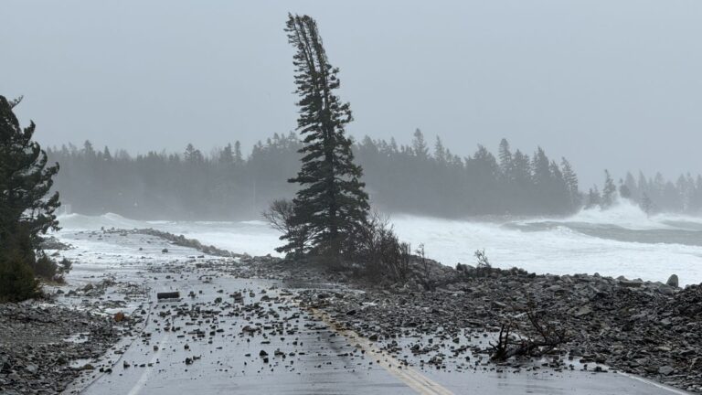 Seawall Road overtaken with water as trees sway during a storm.