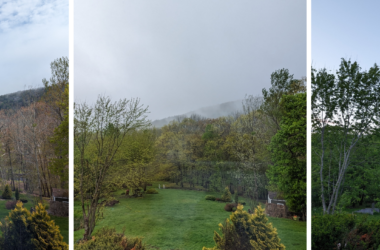 A three photo collage of spring's effects on the Camden greenery.