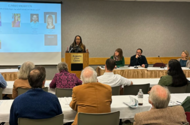 A woman stands at a podium addressing panel attendees.