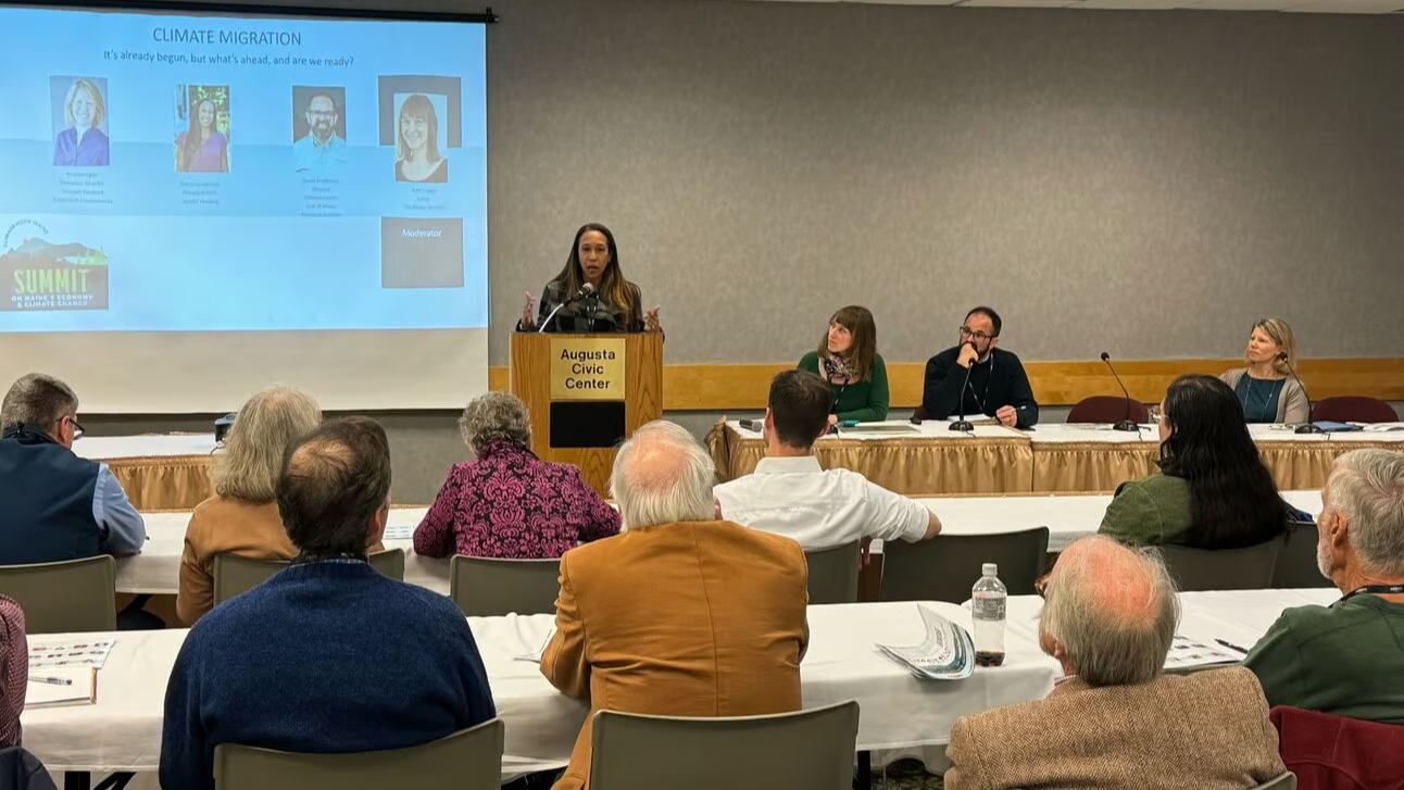A woman stands at a podium addressing panel attendees.