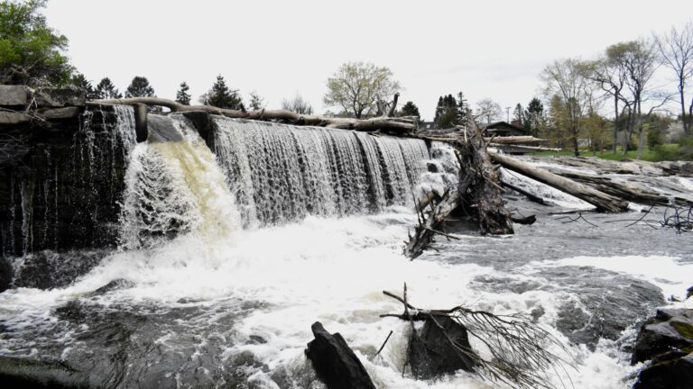 Water flows over the East Elm Street Dam.