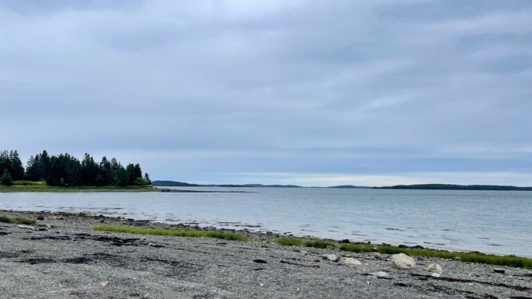 A view of Leighton Beach overlooking Fundy Bay.