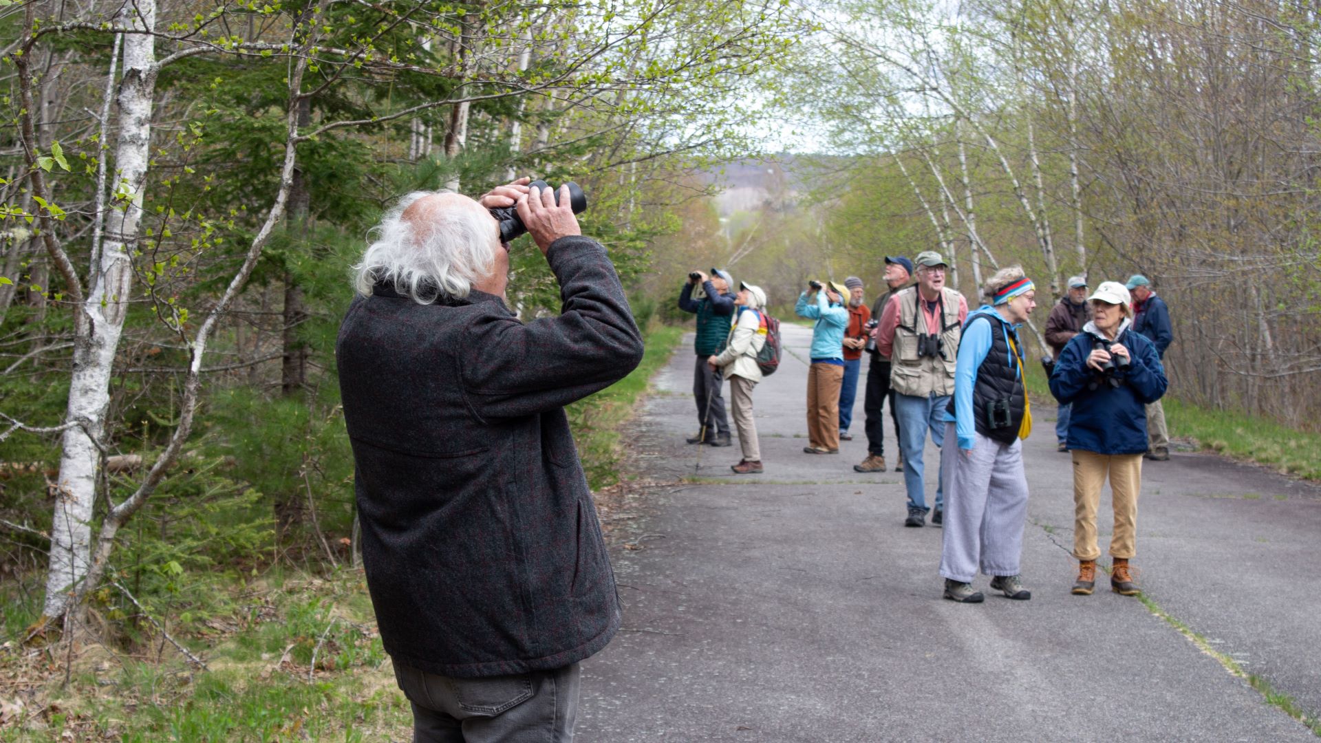 A group of birders on a walkway surrounded by trees.