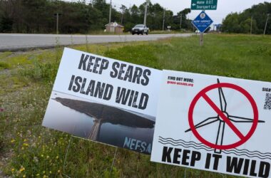 Two roadside signs protesting the development of Sears Island.