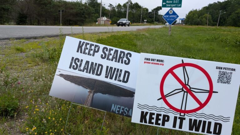 Two roadside signs protesting the development of Sears Island.