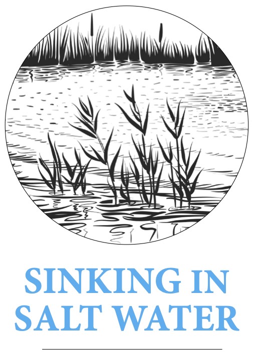 logo for the sinking in saltwater series