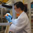 A pharmacist filling an orange pill bottle.