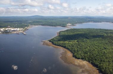 An aerial photo of Sears Island.