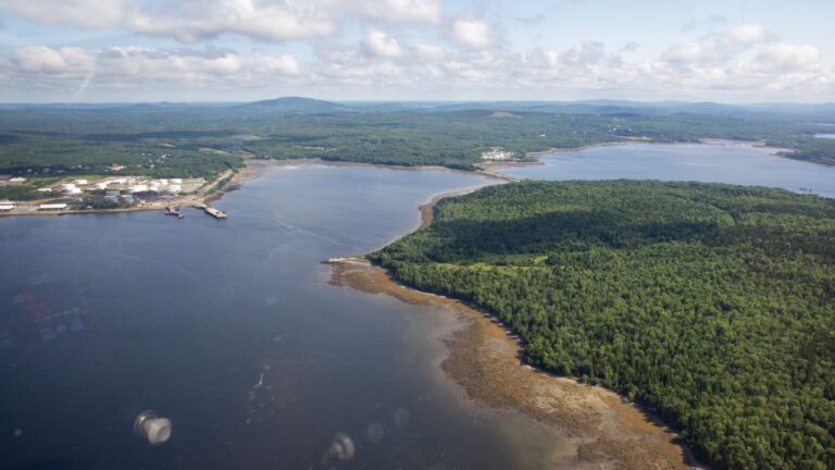 An aerial photo of Sears Island.