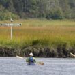 A pair of kayakers on the water.