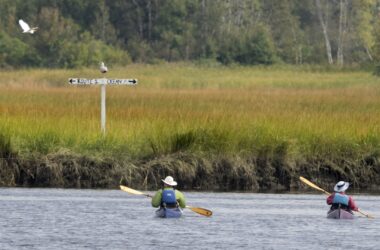 A pair of kayakers on the water.