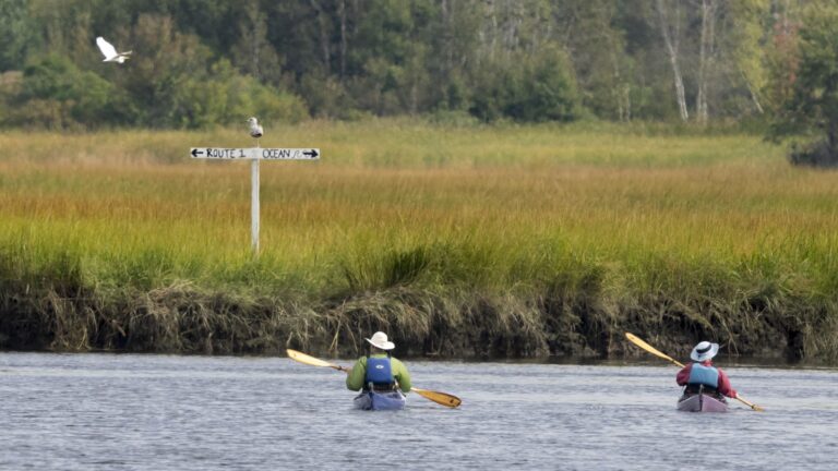 A pair of kayakers on the water.