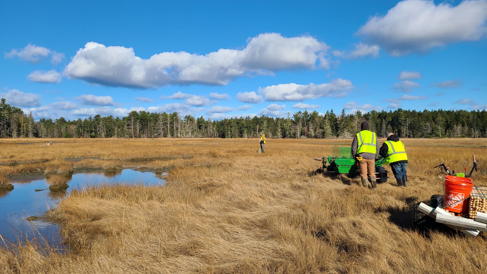 A restoration crew working at the Old Pond marsh.