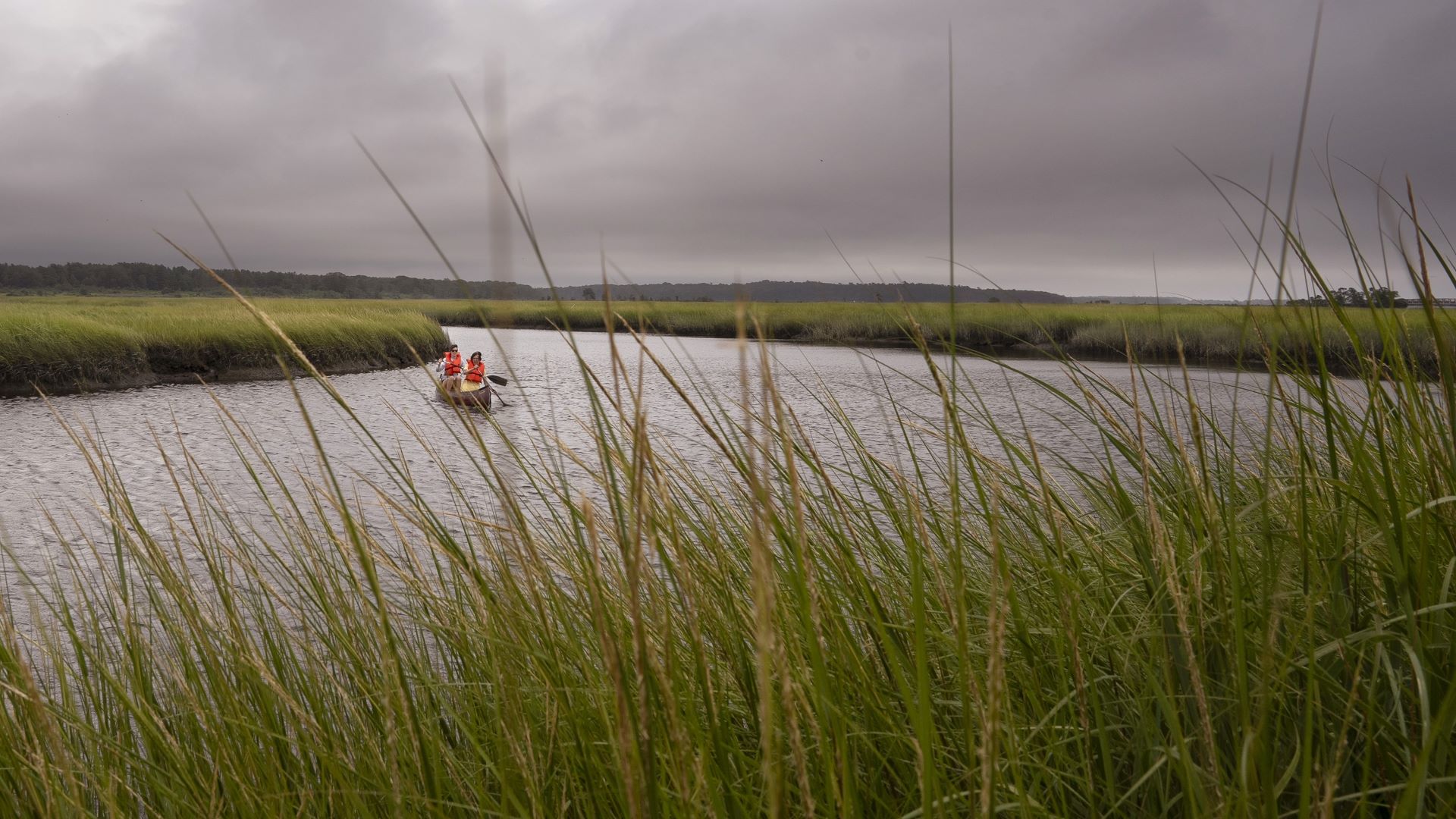 Two people enjoy a paddle in a canoe.