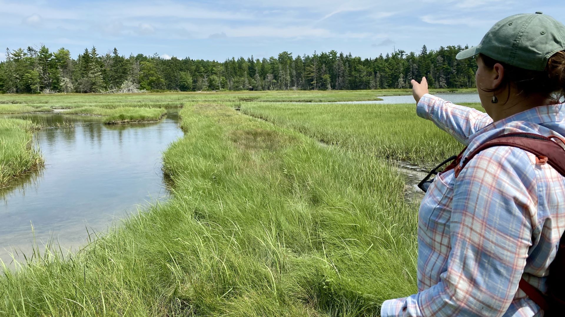 Tatia Bauer motions with her hand towards the Old Pond marsh.