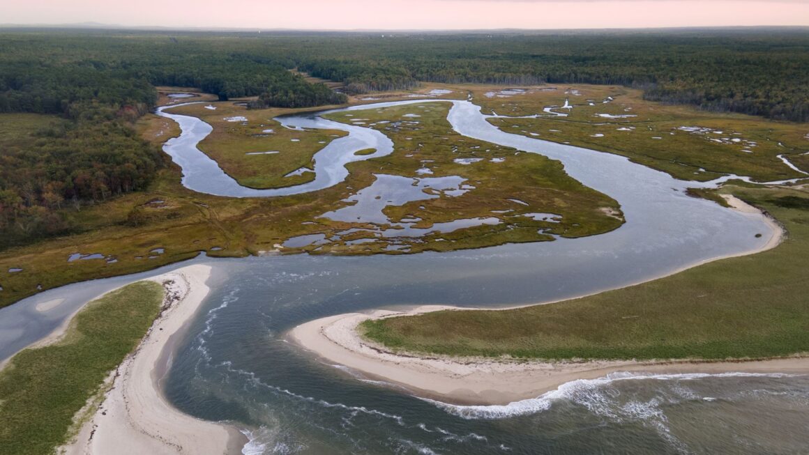 an aerial view of the Wells Reserve.