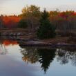 Most of the trees along the waters of Mt Desert Island have turned to orange and red in this fall photo.