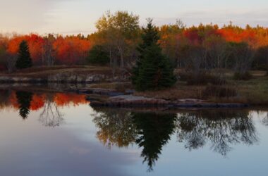 Most of the trees along the waters of Mt Desert Island have turned to orange and red in this fall photo.