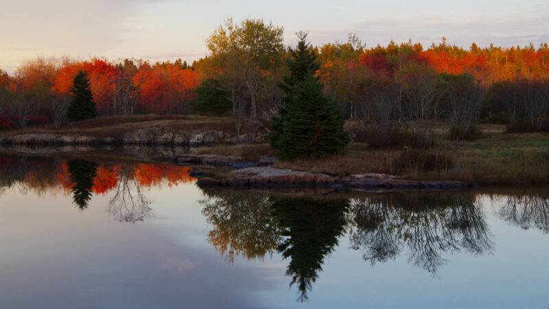 Most of the trees along the waters of Mt Desert Island have turned to orange and red in this fall photo.